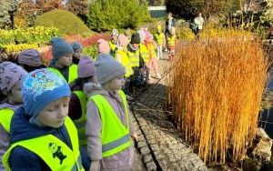 Wycieczka do Ogrodu Botanicznego we Wrocławiu  (10)