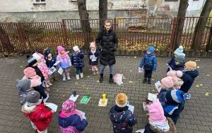 Kompetencje zielone (2)