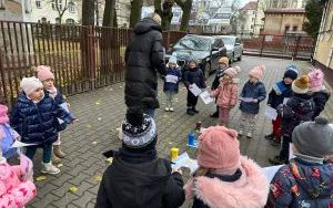 Kompetencje zielone (3)