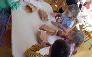 Akademia Małego Kuchcika (9)