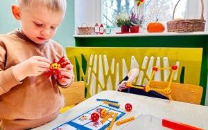  Oleśnickie Bystrzaki Jesienią  (17)