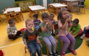  Oleśnickie Bystrzaki Jesienią  (7)