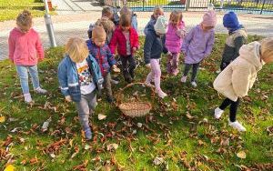 Oleśnickie Bystrzaki  (8)