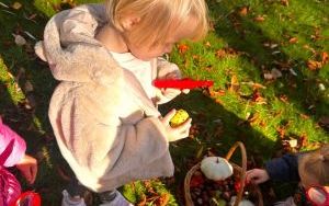 Oleśnickie Bystrzaki  (15)