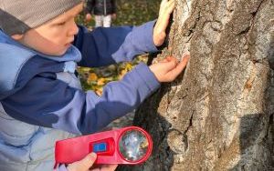 Oleśnickie Bystrzaki  (17)
