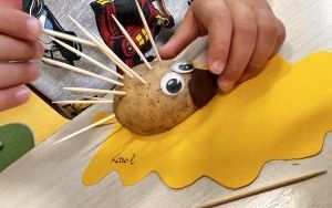 Oleśnickie Bystrzaki  (4)