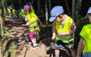 Pszczółki w Wiosce Indiańskiej Pocahontas  (9)